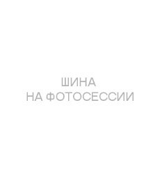 Шины Tunga 175/65 r14 Nordway 3 82Q Шипы